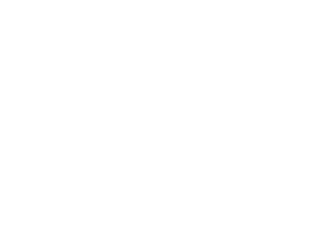Ford Motorcraft